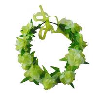 Princesės Tianos suknelė Vaikams Mergaitėms Kostiumas Gimtadienio Kalėdinės Šventės Dovana Wreath beige