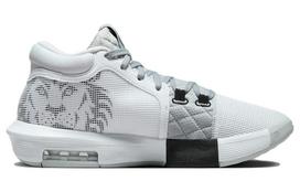 Nike LeBron Witness 8 'White Light Smoke Grey' FB2239-100 45 white