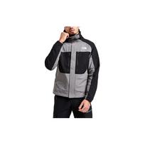 THE NORTH FACE Striukės & Paltai Vyriški Pilki NF0A86N4-ZDK L black