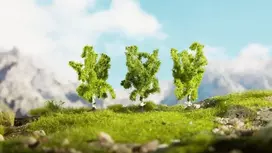 Noch Beržai, 3 vnt.