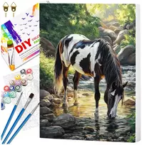 Tapyba pagal numerius su rėmu 40 x 50 cm „Žirgas prie upelio“ TP57