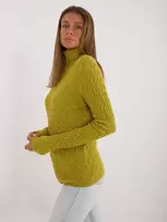 Olivinės spalvos megztinis aukštu kaklu
