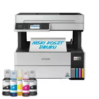 Epson EcoTank Pro L6499 Daugiafunkcis rašalinis spausdintuvas