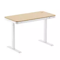 LogiLink reguliuojamo aukščio stalas su elektrine pavara, 118x60 cm, su belaidžiu įkrovimu, baltas