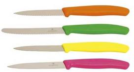 Victorinox peilių rinkinys 4 daržovių peiliai mišrių spalvų, 4 vnt./pak