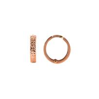 Auksiniai auskarai-žiedai