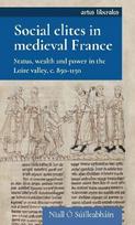 Social elites in medieval France: Status, wealth and power in the Loire valley, c. 850-1150