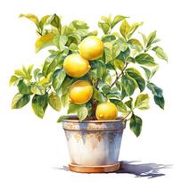 Citrinos medžio sienos lipdukas Virtuvės Restorano Dekoras Svetainės Spintelės Šaldytuvo Namų Dekoras Lipdukai Lipdukai M11177 I-30cm-Longest Side yellow