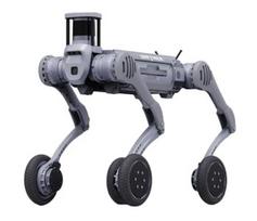 UNITREE B2-W su LiDAR