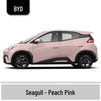 BYD Seagull Touch-Up Paint & Scratch Repair Pens with Paint Removal Tools Single Touch-up Pen gray