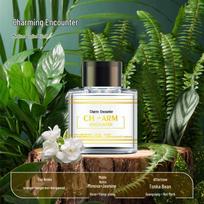 Car Aromatherapy Essential Oil: Long-lasting, Light Fragrance for Interior Decor, Safe for Mother and Baby gray