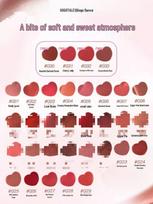 GOGO TALES Ice Cube Lip Mud: Autumn/Winter Matte Lipstick & Gloss GT620 2g brown