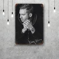 Calvin Harris Vintažiniai Metaliniai Skardos Ženklai Plakatai Dekoras Retro Metalinė Plokštelė Sienos Menas Dekoras Garažui Barui 30x40cm(11.8x15.7inch)