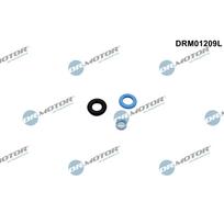 Purkštuko tarpinių rinkinys Dr.Motor Automotive DRM01209L