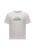 JACK & JONES Marškinėliai 'JJROCHE' glaisto spalva / žalia / rusvai žalia