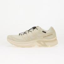 Salomon XT-EVR GTX Vanilla/ Almond Milk/ Vanilla - Dydis 39 (L49259200 Laisvalaikio batai)