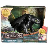 Spin Master - Dreamworks How To Train Your Dragon Tame And Train Interactive Toothless