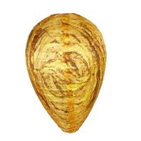 Reusable Fake Wasp Nest Eco-Friendly Artificial Beehive Hornets Deterrent Wasp Nest Decoy  Patio Style-C yellow