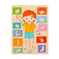Montessori Žmogaus Kūno Dalių Struktūra Mediniai Dėlionės Žaislai Parapijos Organai Pažintiniai Atviro Mokymosi Švietimo Žaislai Atitikimo Žaidimas