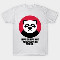 Asian Size Cotton Unisex Tshirt Print T-shirt KUNG FU PANDA T-shirt No-Cut Print Regular Fit 4XL (93-100kg)