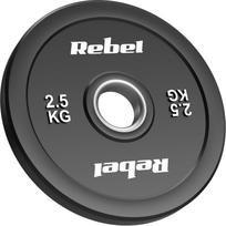 Diskinis svoris Rebel Active, 2 x 2.5 kg