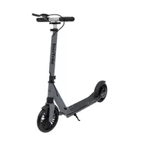 SPORTRIKE Silver motoroleris