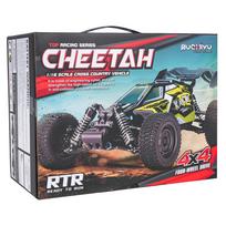 Nuotolinio valdymo R/C lenktyninis automobilis CHEETAH 1:16