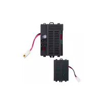 Valdymo blokas RX101 24V modulis