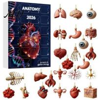 Medicinos mokyklos baigimo dovanos Anatomijos Advento kalendoriai 2026, 24 dienos Organų papuošalai Kalėdinio atgalinio skaičiavimo kalendorius, 2D studento dovana Akrilas A black