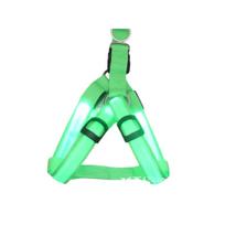 Glowing Pet for Small Dogs and Cats Outdoor Walking One Size žalia