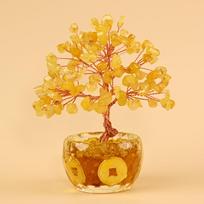 Home Decor Feng Shui Money Tree Wealth and Luck Bonsai Money Tree Money Tree Decoration  Home auksas