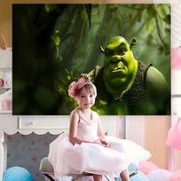 S-Shrek Photography Backdrop Customized Fond Background For Baby Children Portrait Photocall Photo Studio 70.9x43.3inch/180*110cm gray