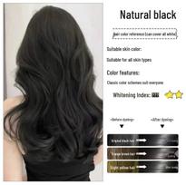 Popular Bubble Hair Dye Cream with Natural Plant-Based Fruit Oil Formula 300ml