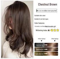 Popular Bubble Hair Dye Cream with Natural Plant-Based Fruit Oil Formula 300ml