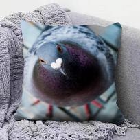 Balandis FFunny MEME Namų sofos pagalvių užvalkalai ir Dekoratyvūs individualūs pagalvių užvalkalai 30x30 cm gray