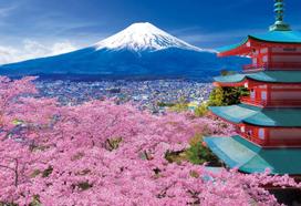 Epoch jigsaw Japanese Spring Fuji and Pagoda Yamanashi x 38 includes and point Co., Ltd. 300-piece puzzle, landscape, Breeze, Mt. Five-Storied - (26 white