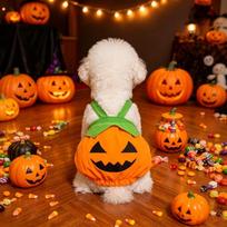 Halloween Pumpkin Pet Costume Adjustable Suspender Outfit Cute Festive Fancy Dress for Small Medium Dogs Party Photo Prop XS oranžinė