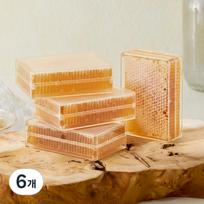Habibi Honeycomb Honeycomb Natural Honeycomb Honey Beeswax Honeycomb 6 pcs 500g