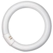 Lemputė Osram, G10q, 40 W, 3200 lm