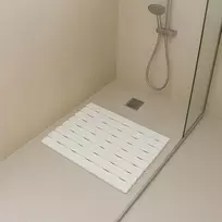 Aptel Kilimėlis vonios kambariui neslystantis po dušu, dušo padėklas saunai, baseinui 43x61, balta