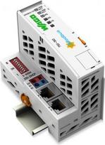 Modbus TCP Fieldbus Coupler 750-362, 2x Ethernet, 24V DC, DIN-rail mounting 750-362 | 4055143821421