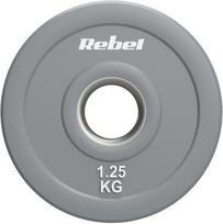Diskinis svoris Rebel Beast RBA-2145-01.25, 2 x 1.25 kg, pilka sp.