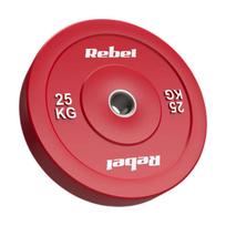 Diskinis svoris Rebel Beast x 25 kg