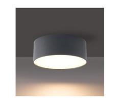 BRILAGI - LED lauko lubinis šviestuvas FORIS LED/14W/230V skersmuo 12 cm antracitas IP44