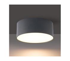 BRILAGI - LED Lauko lubinis šviestuvas FORIS LED/20W/230V Ø 15 cm antracitas IP44