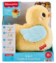 FISHER-PRICE 4 in 1 judanti antytė, JMX99