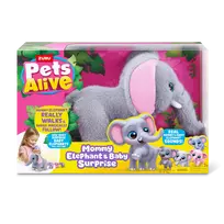 PETS ALIVE Drambliukų mama su mažyliais