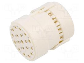 Connector: M23 | contact insert | PIN: 19(3+16) | female | industrial