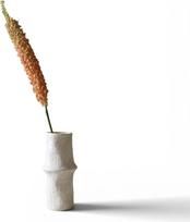 Botane Dirbtinė gėlė Botane eremūras 107 cm, oranžinė