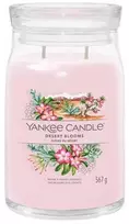 Yankee Candle Aromatinė žvakė Signatūrinis stiklas didelis Desert Blooms 567 g